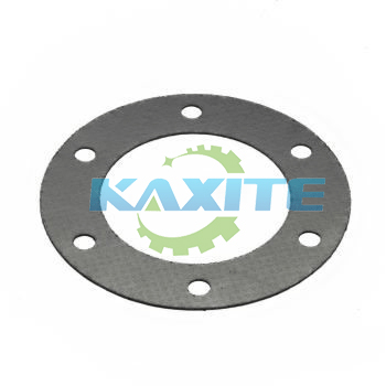 Tanged Metal Reinforced Graphite Gasket